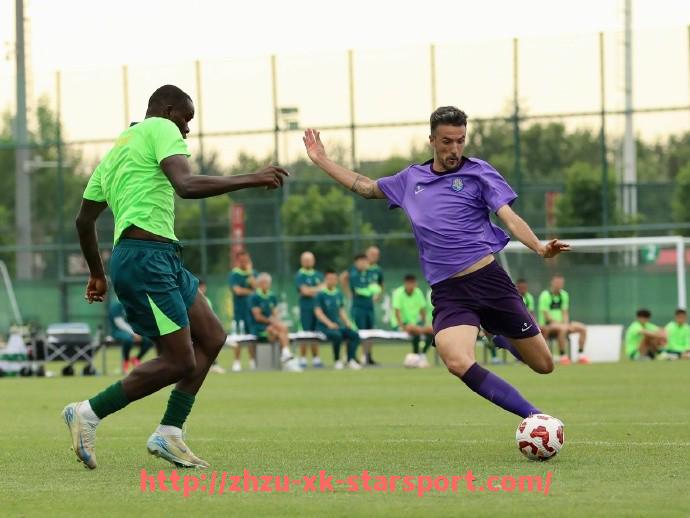 星空体育-法甲经典逆转比赛回顾及关键因素深度分析