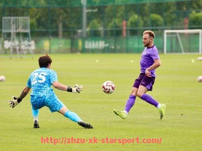 星空体育-绿色球队德甲:探索德甲联赛中的绿色球队及其特色