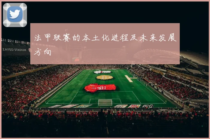 法甲联赛的本土化进程及未来发展方向