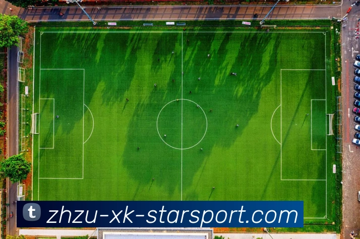 星空体育发展历程